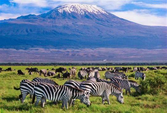 Aberdares Safari